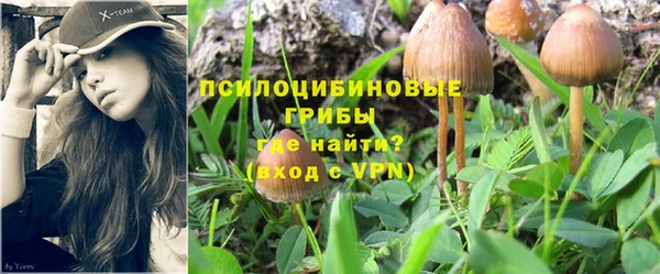 MDMA Кукмор