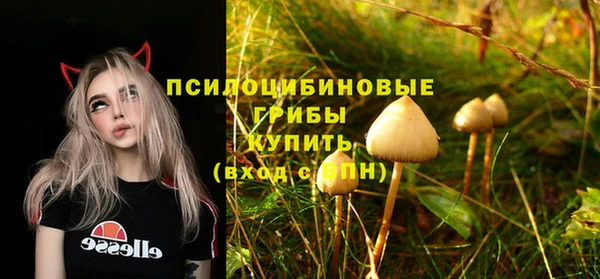 гидропоника Куйбышев